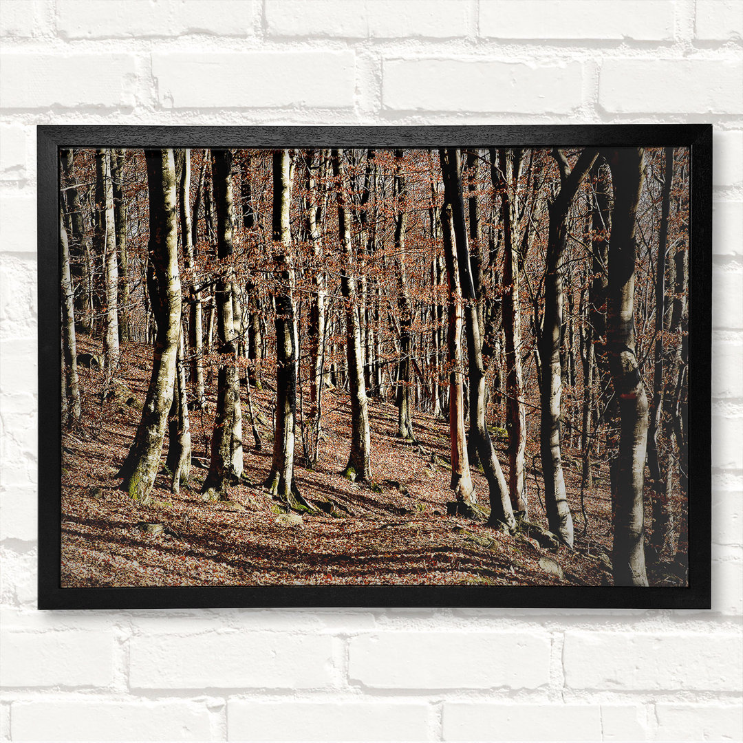 Woodland Beauty Gerahmter Druck