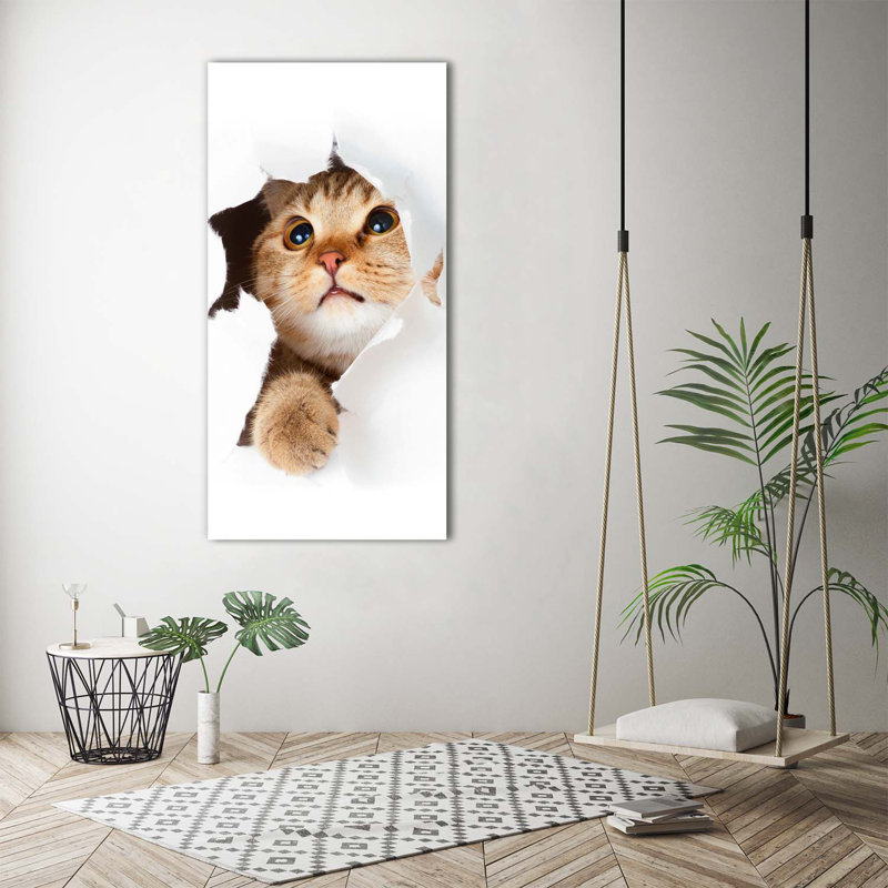 Cat - Wrapped Canvas Print