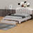 Ashiley Upholstered Panel Storage Bed-1691438781