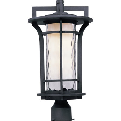 Kines Lantern Head