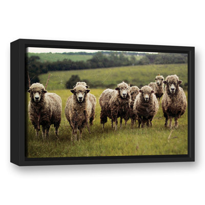 " Sheep With Sticks "