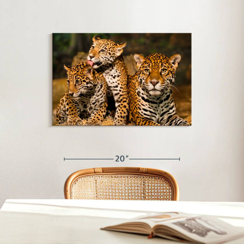Brampt Jaguar Tribe, 16" H x 24" W