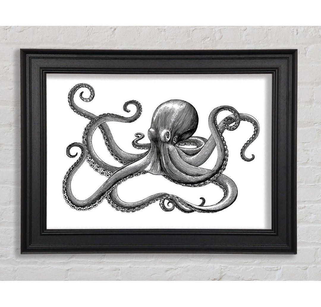 Oktopus Illustration