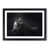 Black Framed selected