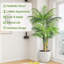 Antanette 150cm Faux Plant