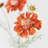 Audet Silk Decorative Artificial Cornflower(Pack of 1 Branch)-1879312110-1879312108