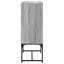 Aanvi Steel Standard Accent Cabinet-1763828317