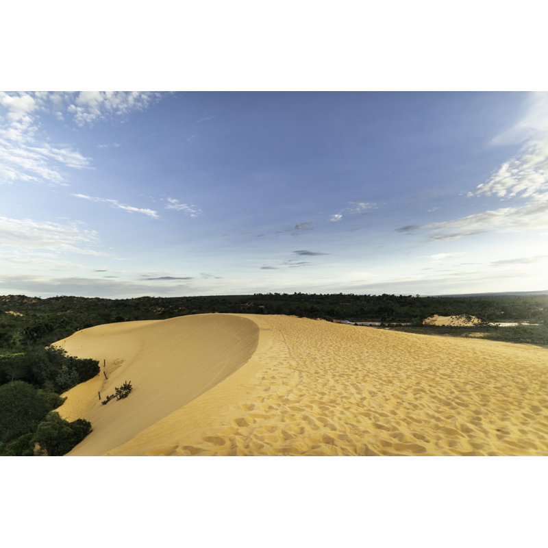 Sand Dunes par Fg Trade, H 32 po x l 48 po
