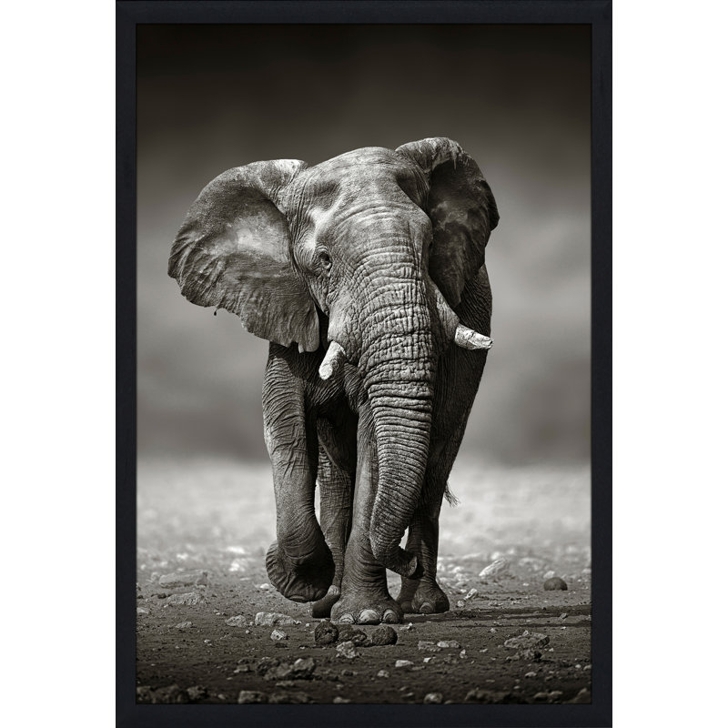 Single Picture Frame Photograph, 39.5" H x 27.5" W x 0.75" D