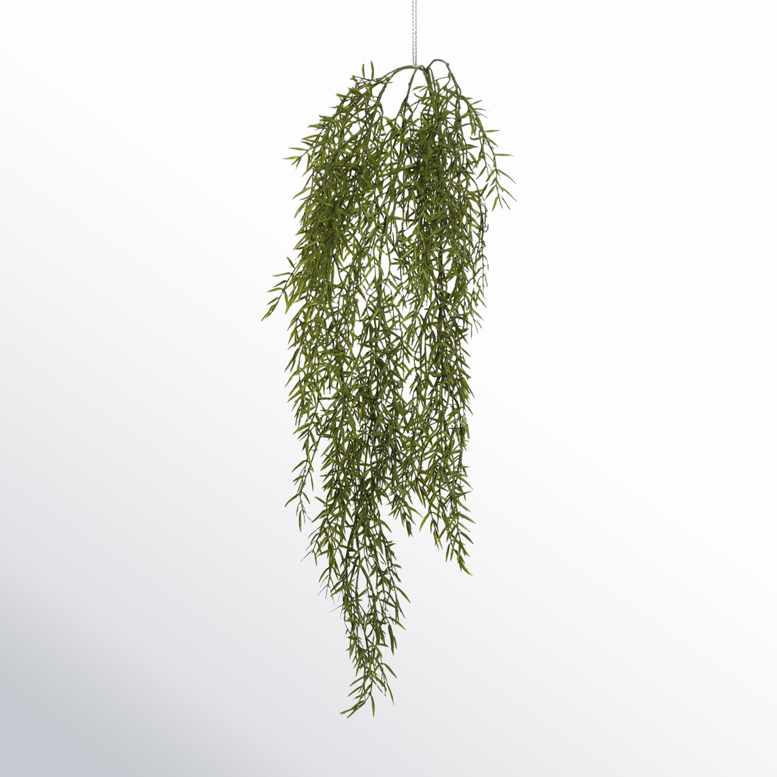 34" Dill Leaf Vine Plant