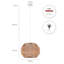 Lantern Pendant Light 1-light Prunedale-418499087-418721984