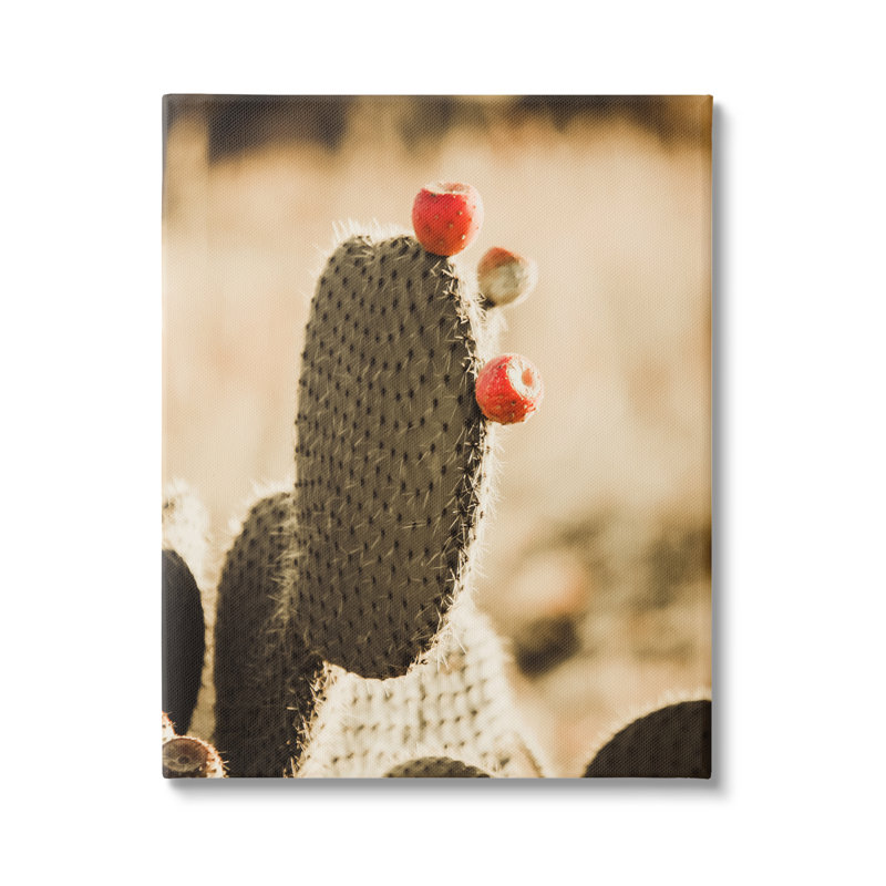 Art mural sur toile "Prickly poire cactus fruits" par Krista Broadway, H 40 po x l 30 po x P 1,5 po, Toile tendue