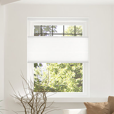 Cordless Blackout Cellular Shade