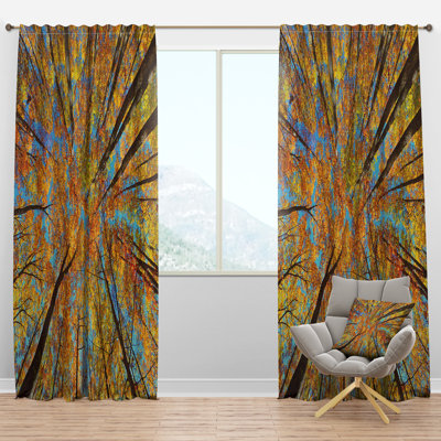 Velvet Room Darkening Single Curtain Panel