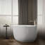 Sunstruck® Freestanding 65.5" x 35.5" Soaking Bathtub-746501697
