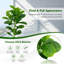 Faux Fiddle Leaf Fig Tree in Pot-452357423
