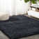 Anttwan Solid Shag Dark Navy Rug