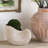 Sand And Cement Nautilus Shell Planter-2007995327