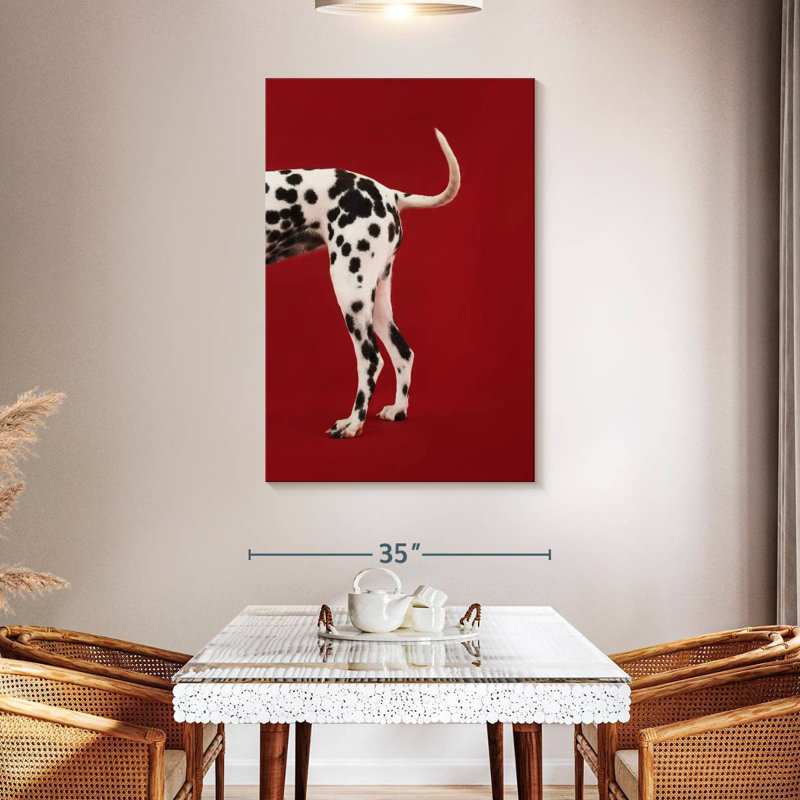 Queue dalmatienne, H 48 po x l 32 po