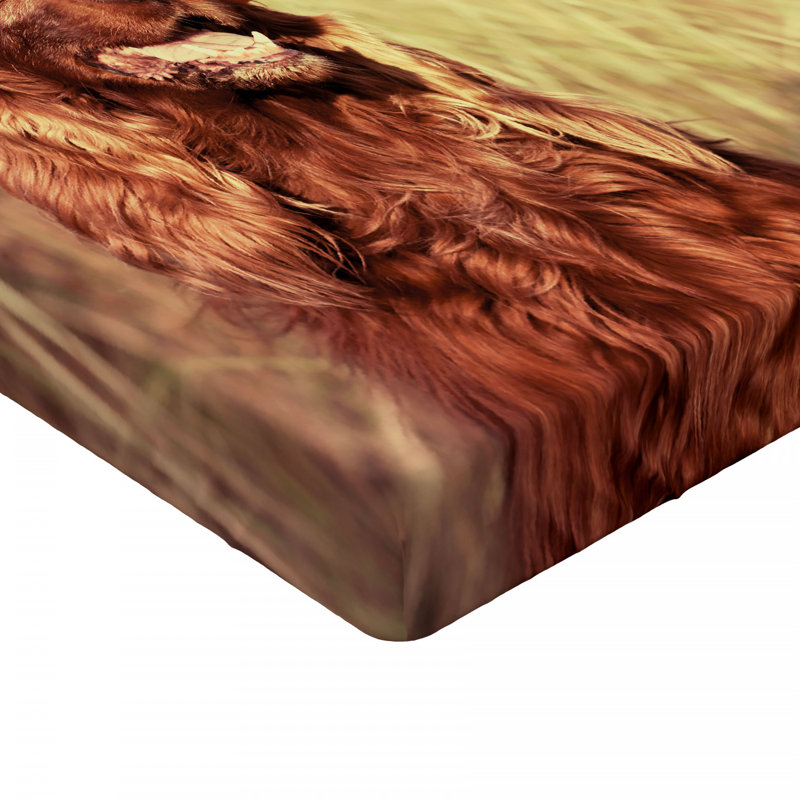 Microfiber Fitted Sheet, Full Fitted Sheet