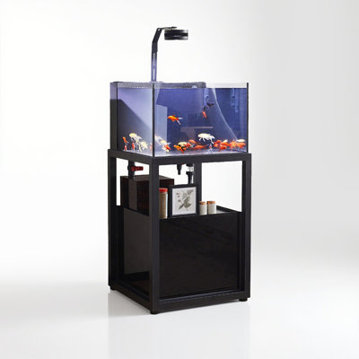 Petit réservoir d'aquarium de style industriel avec support en acier au carbone