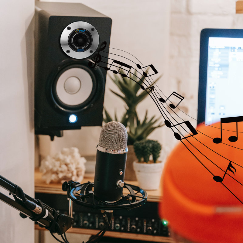 Decorative Radio