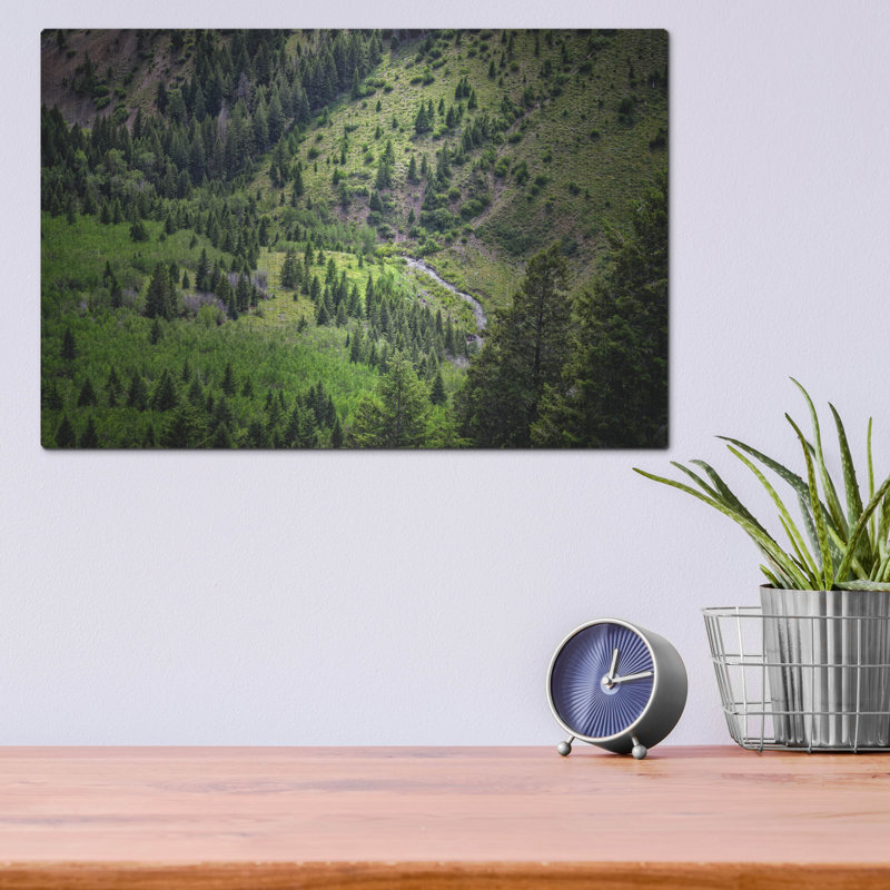 Mur en métal Millwood Pines «Sun Valley» par Rick Berk, H 12 po x l 16 po
