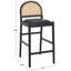 Laylie Rattan And Leather Counter Stool-1908221453