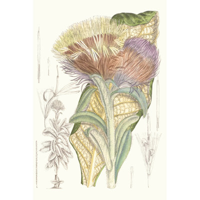 Tropical Variety IX by Curtis - Wrapped Canvas Print