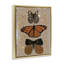 Butterfly Collage Symmetry Framed Floater Canvas Wall Art, design by Kara Keller Designs-320251848-320251862