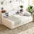 Beige est en rupture de stock