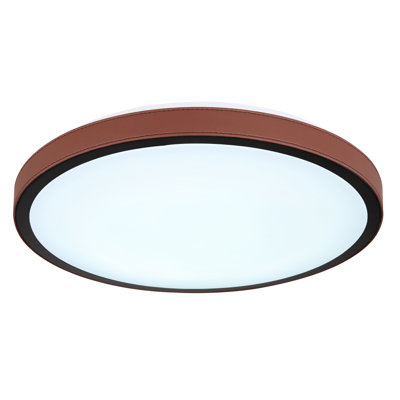 Eamor Flush Ceiling Light