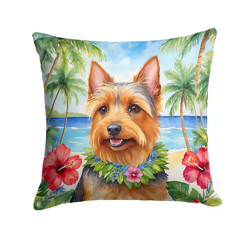 Other/No Pattern Outdoor Throw Pillow, 18" H x 18" W