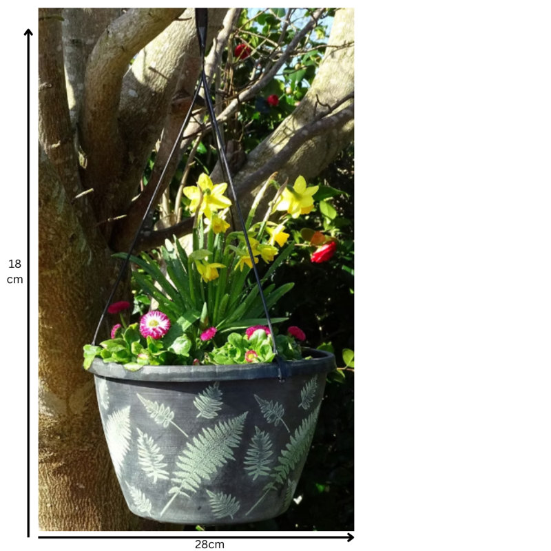 Beckles Hanging Planter, Black/Green