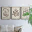 Midnight Tulip III - Ensemble de 3 cadres photo sur toile-856270381-856270422