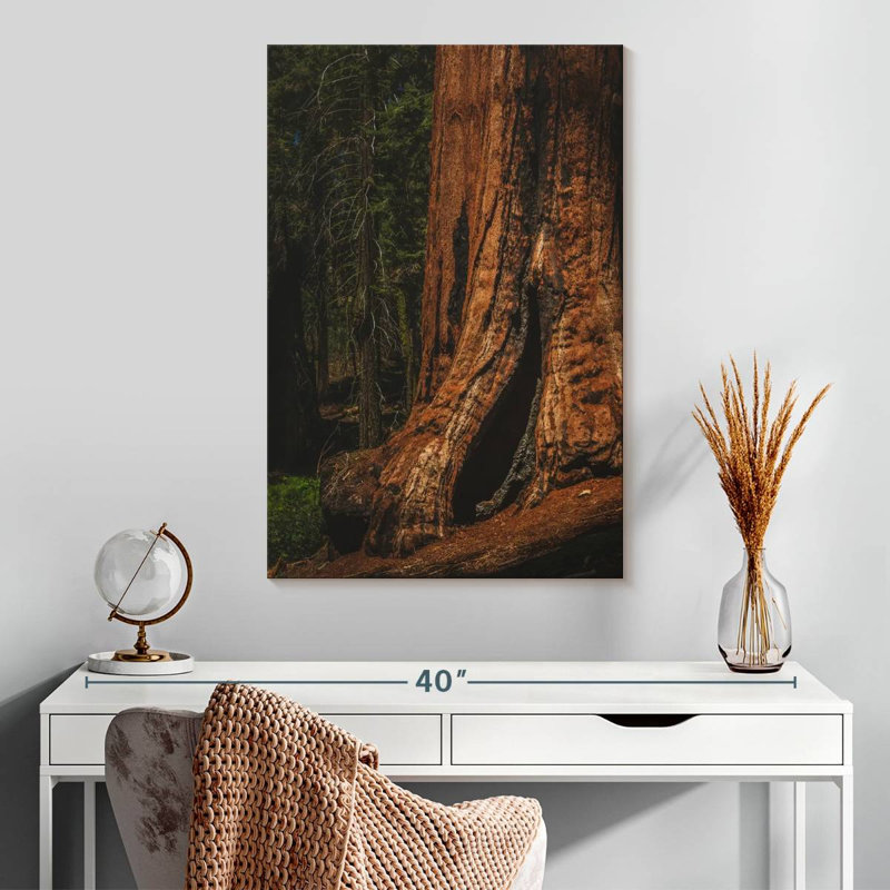 Harnek Sherman Trail Sequoia Trees, 30" H x 20" W
