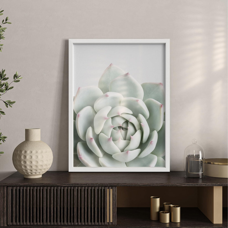Vert pastel, plante grasse, tranquillité, Illustration de la nature, petite œuvre d'art, H 14 po x l 11 po, Blanc