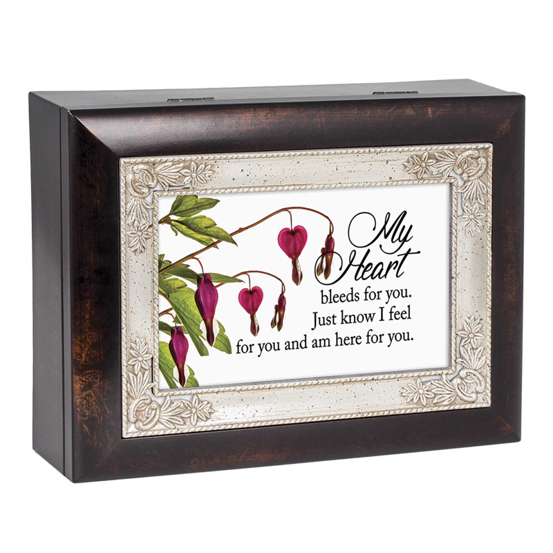 Jhaniya Plastic Memory Box