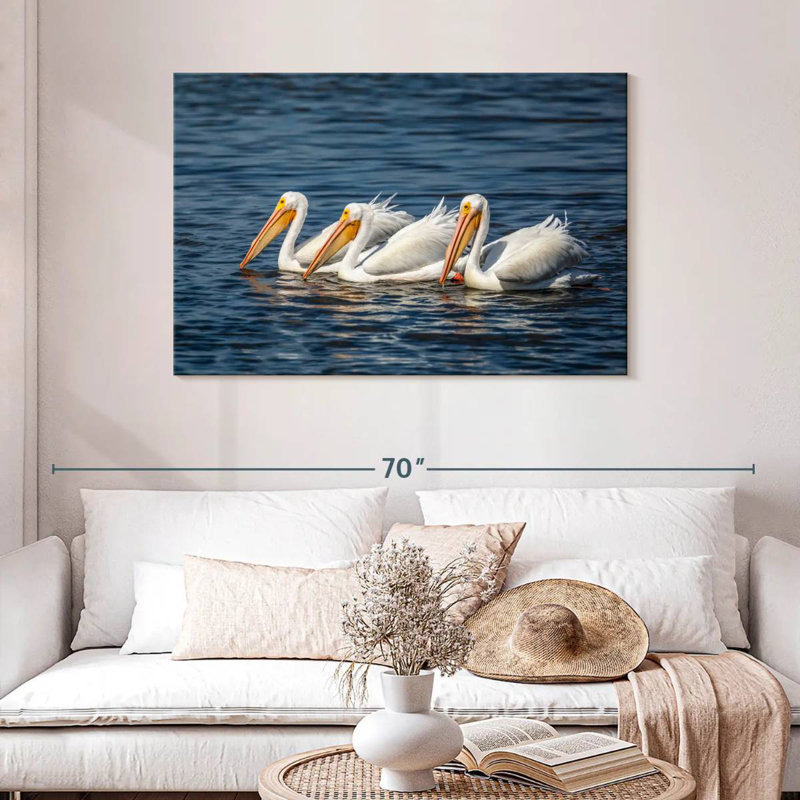 Bramic Ding Darling White Pelicans, H 30 po x l 45 po
