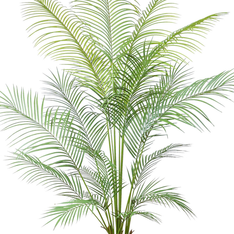 Outdoor UV Rated Kentia Palm Drop-In