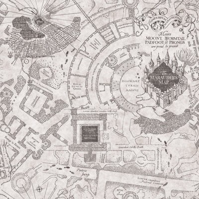 Harry Potter Marauder's Map 18.86' L x 18"" W Peel and Stick Wallpaper Roll -  RoomMates, RMK12437RL