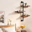 Industrial Pipe Shelves