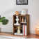 Altamonte 42.4'' H x 55.1'' W Step Bookcase