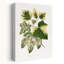 «Green Leaf Illustration Abstract Retro Vintage Flower Landscape», reproduction d'art mural-129717252