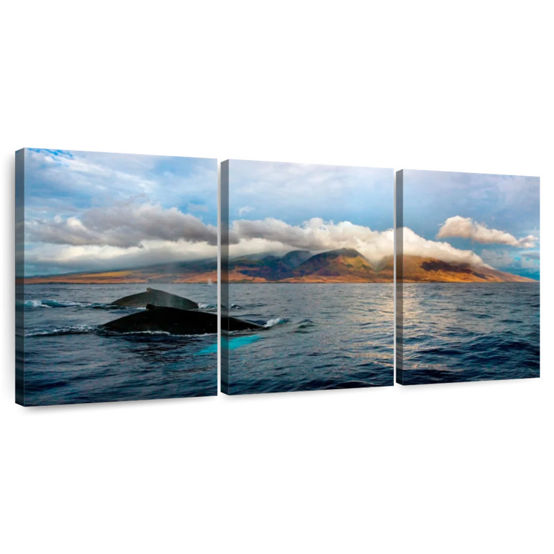 Baleines à bosse Senne Maui, H 36 po x l 74 po