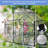 6X6FT-BLACK Polycarbonate Greenhouse Raised Base And Anchor Aluminum Heavy Duty Walk-In Greenhouses For Outdoor Backyard In All Season (W540S00002)-125344145-125344147