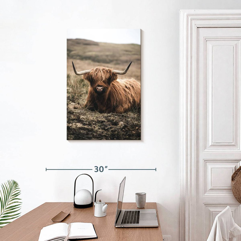Brampt Still Highland Cow, H 30 po x l 20 po