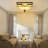Lendin Vintage Ceiling Light Flush Mount Lighting Fixture E26 100-240V
