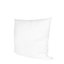 Insert de coussin carré Plume-1688753424-1676496801