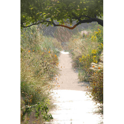 Rainy Concrete Path, photographie sur toile tendue